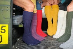 Alpaca Country Socks