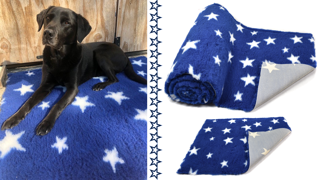 Gorgeous new star vet bedding