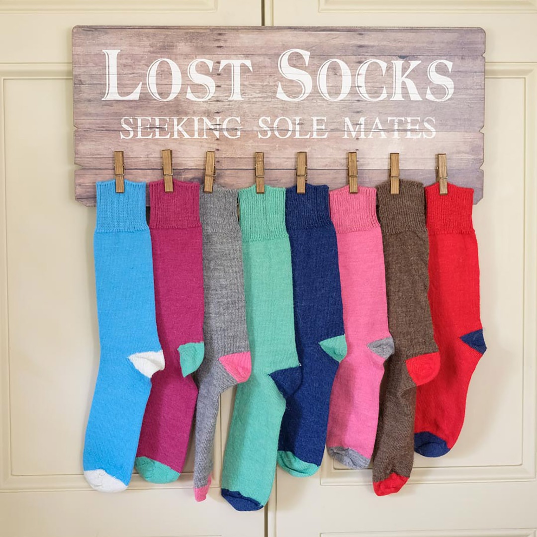 CREATURE Ankle Length Plain Colourful Socks For Women/Girls-Combo