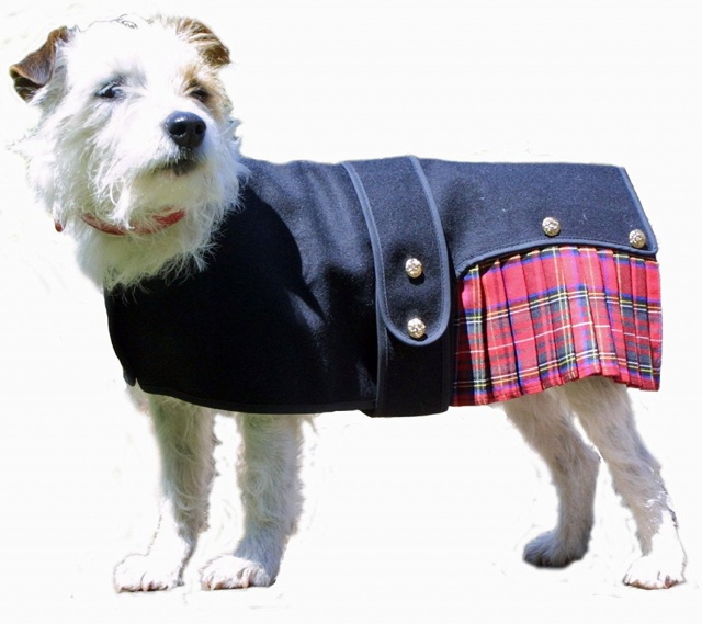 Royal Stewart Tartan Dog Coat - Large – The Wee Tartan Shop
