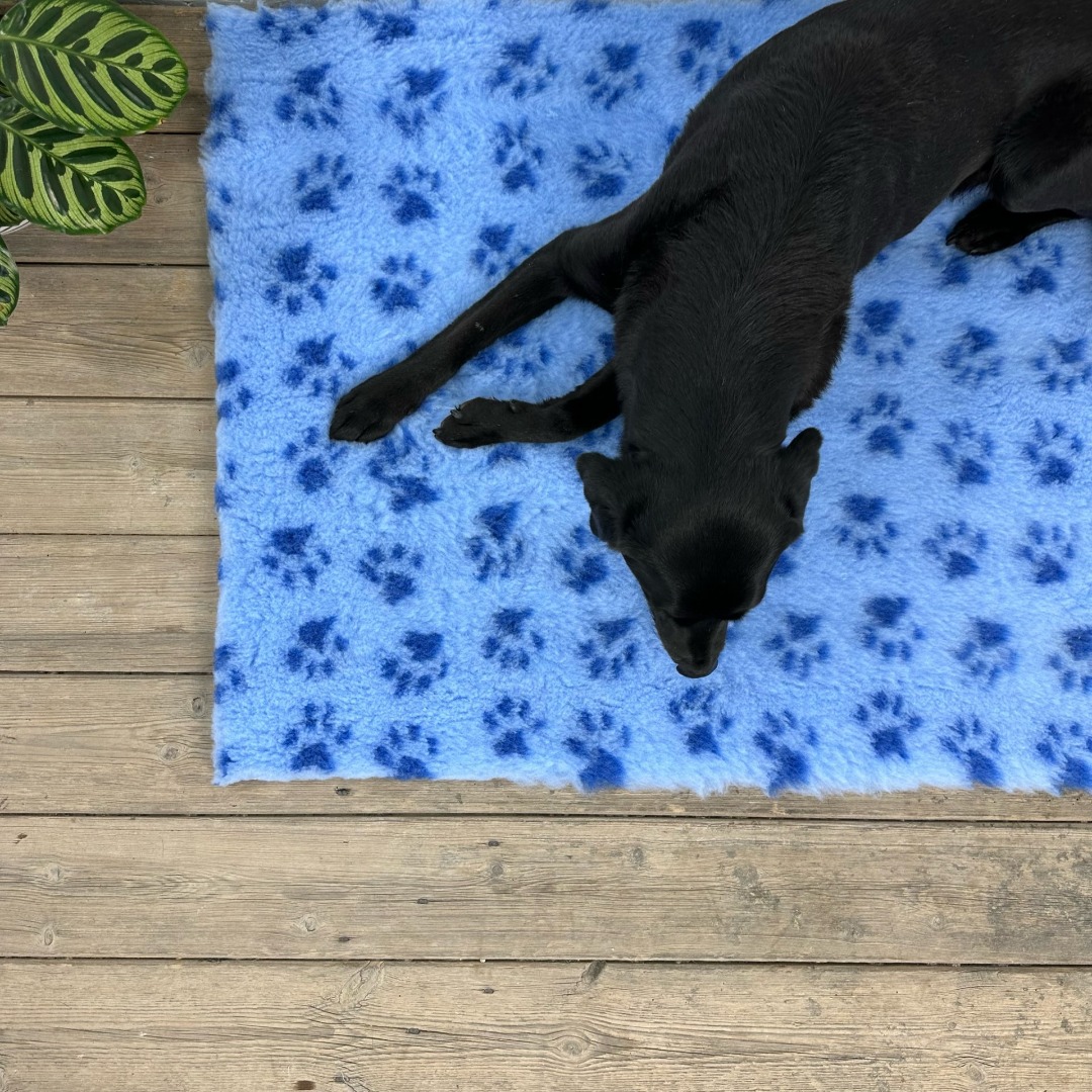 Blue With Dark Blue Paw Non-Slip Vet Bedding Whelping Fleece Dog Puppy Bed  150cm x 150cm