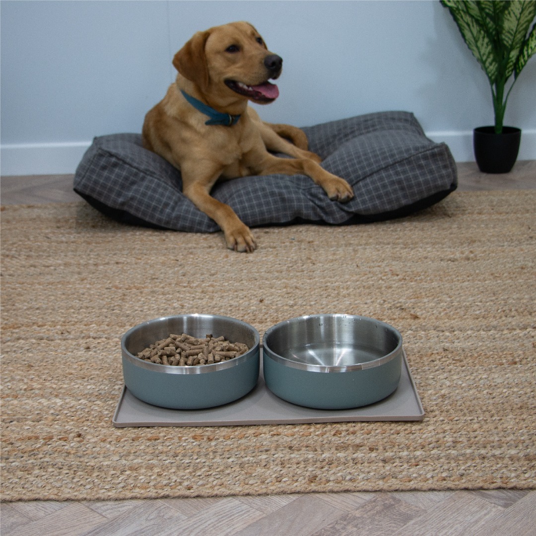 Ancol Oatmeal Dog Feeding Mat