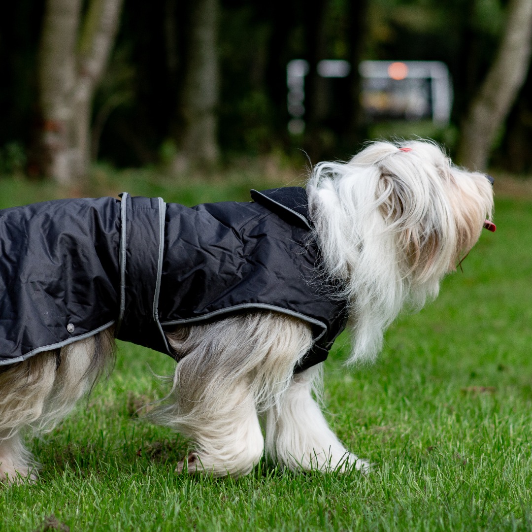 Ancol Muddy Paws Stormguard Black Waterproof Fleece Lined Dog Coat