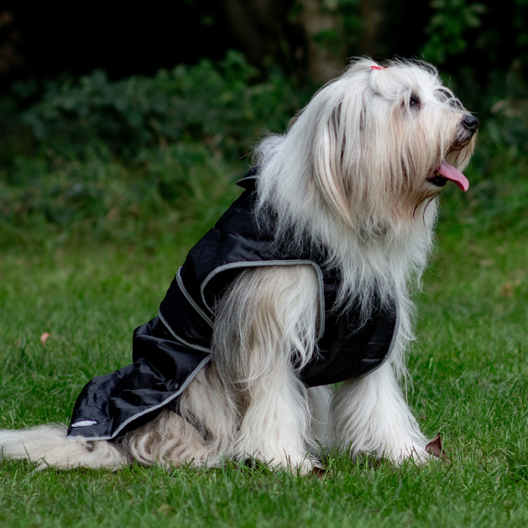 Ancol Muddy Paws Stormguard Black Waterproof Fleece Lined Dog Coat