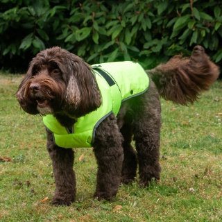 Ancol Muddy Paws Stormguard Hi-Vis Waterproof Fleece Lined Dog Coat