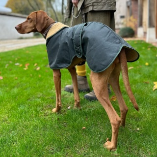 Water & Windproof Greyhound Hunter Dog Coat