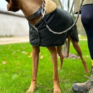 Water & Windproof Greyhound Hunter Dog Coat