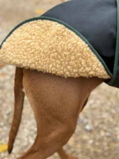 Water & Windproof Greyhound Hunter Dog Coat