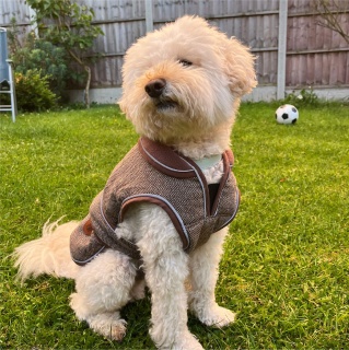 HugglePets Legacy Herringbone Dog Coat