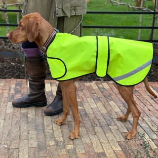 Hi-visibility Waterproof Dog Safety Coat  Waterproof Fabric. Fluorescent Yellow