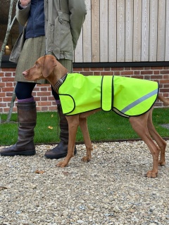 Hi-visibility Waterproof Dog Safety Coat  Waterproof Fabric. Fluorescent Yellow