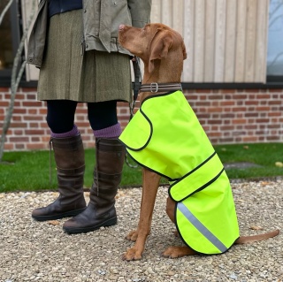 Hi-visibility Waterproof Dog Safety Coat  Waterproof Fabric. Fluorescent Yellow