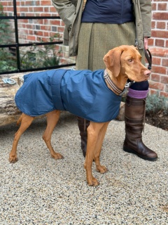 Waterproof Furlined All-Weather Dog Coat