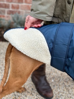 Waterproof Furlined All-Weather Dog Coat