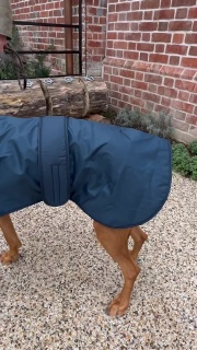 Waterproof Furlined All-Weather Dog Coat