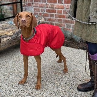 Waterproof Furlined All-Weather Dog Coat