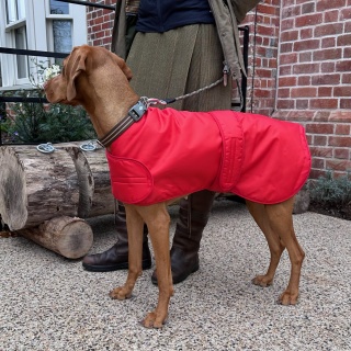 Waterproof Furlined All-Weather Dog Coat