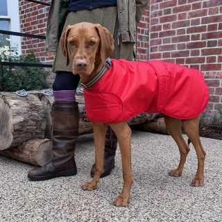 Waterproof Furlined All-Weather Dog Coat