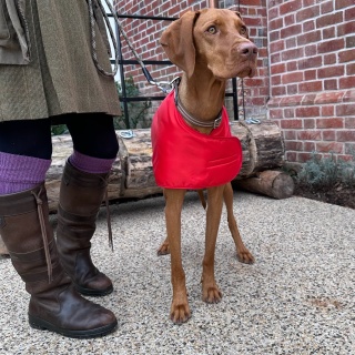 Waterproof Furlined All-Weather Dog Coat