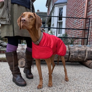 Waterproof Furlined All-Weather Dog Coat