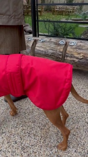 Waterproof Furlined All-Weather Dog Coat