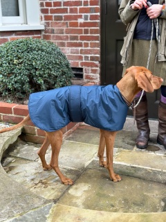 Waterproof Furlined All-Weather Dog Coat