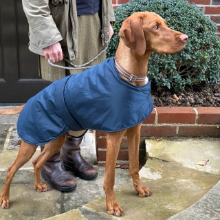 Waterproof Furlined All-Weather Dog Coat