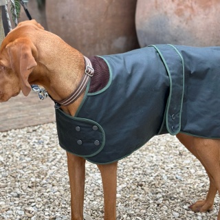 Traditional Hunter Green Waxed  Dog Coat  Made in England