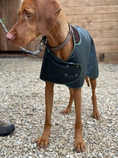 Traditional Hunter Green Waxed  Dog Coat  Made in England