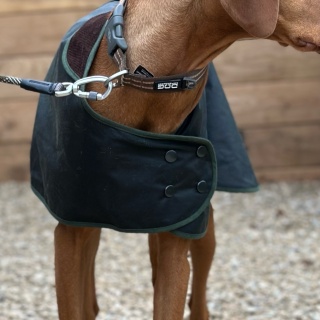 Traditional Hunter Green Waxed  Dog Coat  Made in England