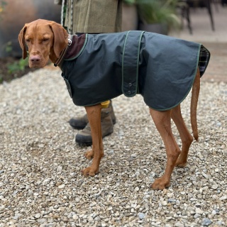 Traditional Hunter Green Waxed  Dog Coat  Made in England