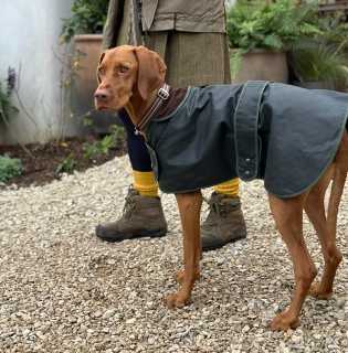 Traditional Hunter Green Waxed  Dog Coat  Made in England