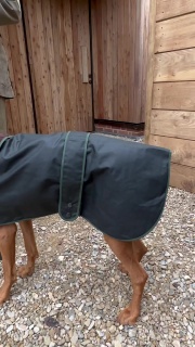 Traditional Hunter Green Waxed  Dog Coat  Made in England