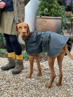 Traditional Hunter Green Waxed  Dog Coat  Made in England