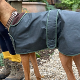 Traditional Hunter Green Waxed  Dog Coat  Made in England