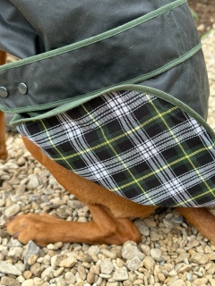 Traditional Hunter Green Waxed  Dog Coat  Made in England