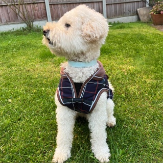 HugglePets Legacy Tartan Dog Coat