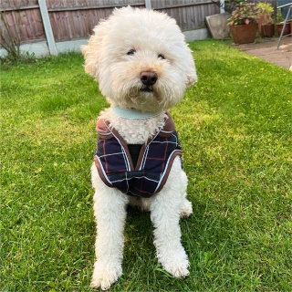 HugglePets Legacy Tartan Dog Coat