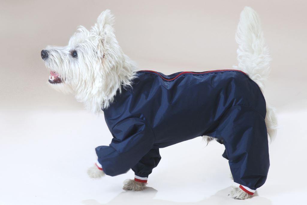 Waterproof Nylon Dog Suit (Dog Coat) in Black,Navy or Red. All sizes ...