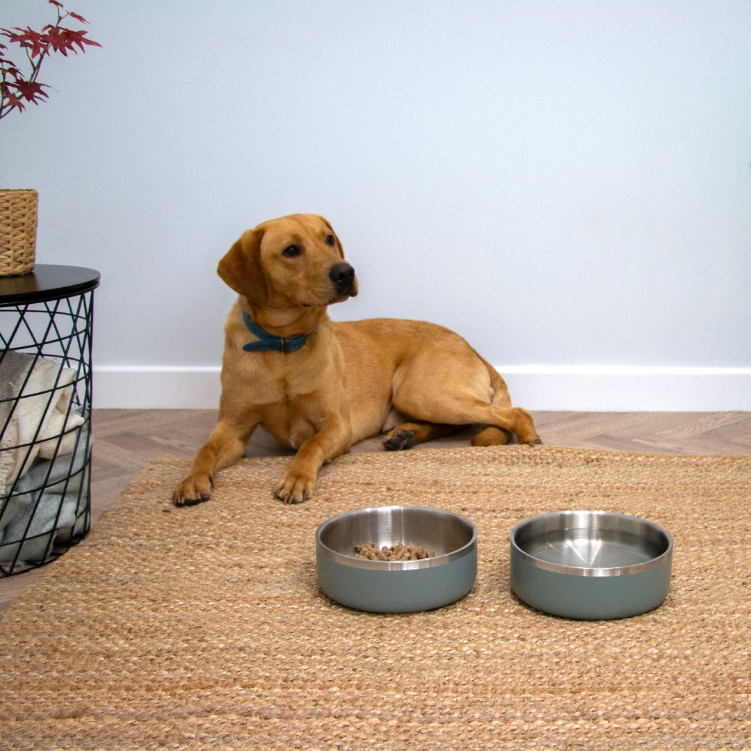 Ancol Sage Stainless Steel Dog Bowl