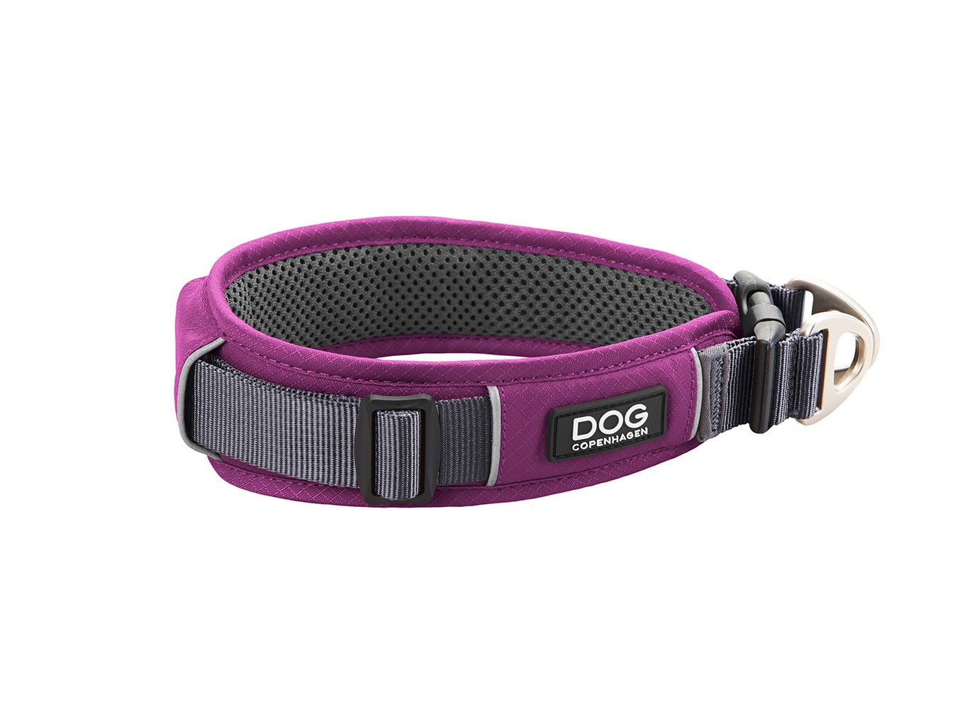 Purple Dog Copenhagen Urban Explorer v2 Small Dog Collar SALE