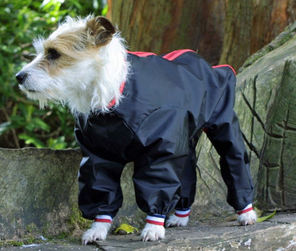 Waterproof Nylon Dog Suit (Dog Coat) in Black,Navy or Red. All sizes ...