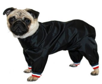 Ultimate Reflective Trouser Suits Dog Show Suits Dog Mud Suits