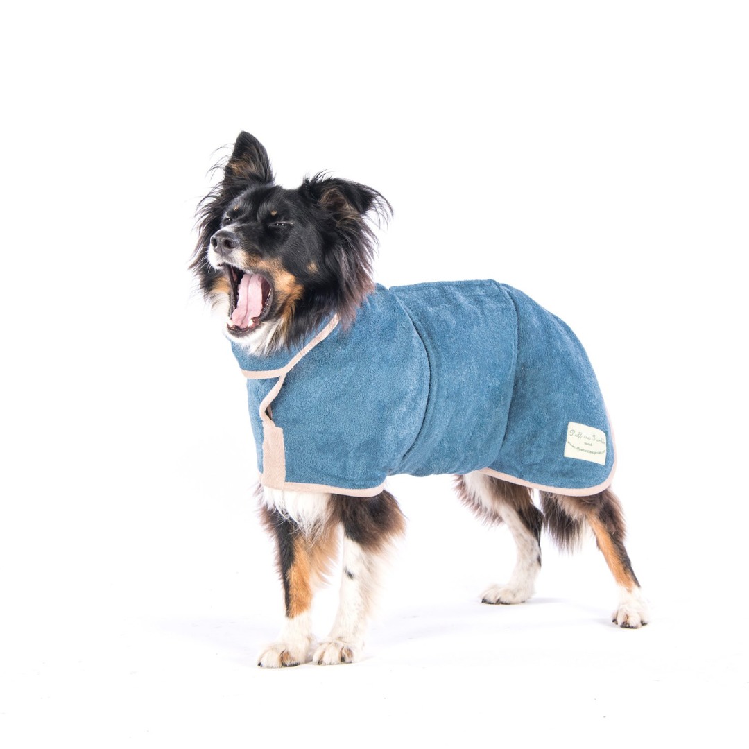 Cosipet dog coats best sale